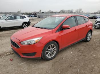  Salvage Ford Focus
