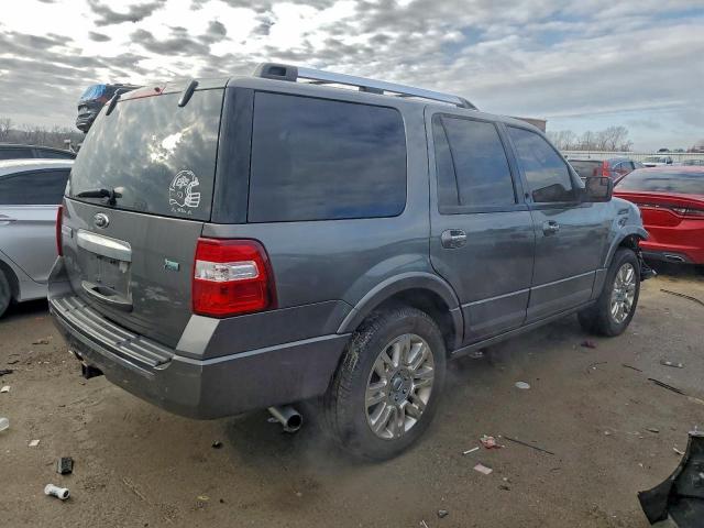 Ford Expedition Limited Image 3