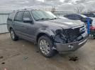 Ford Expedition Limited Image 12