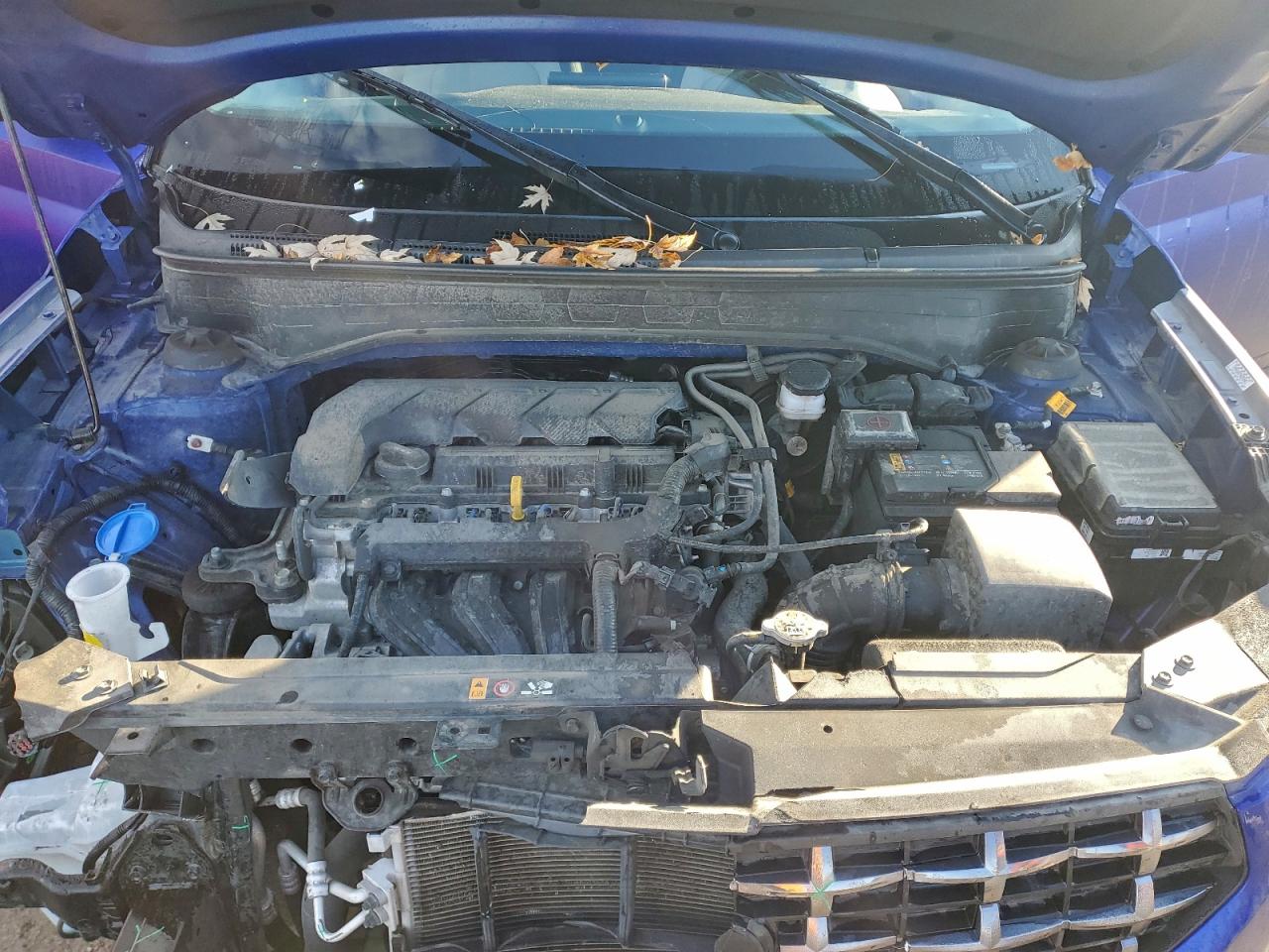 Hyundai VENUE Sel Image 12