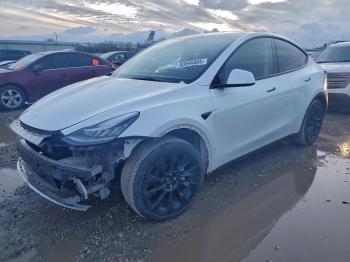  Salvage Tesla Model Y