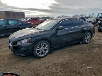  Salvage Nissan Maxima