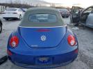 Volkswagen Beetle Convertible Option Package 1 Image 5
