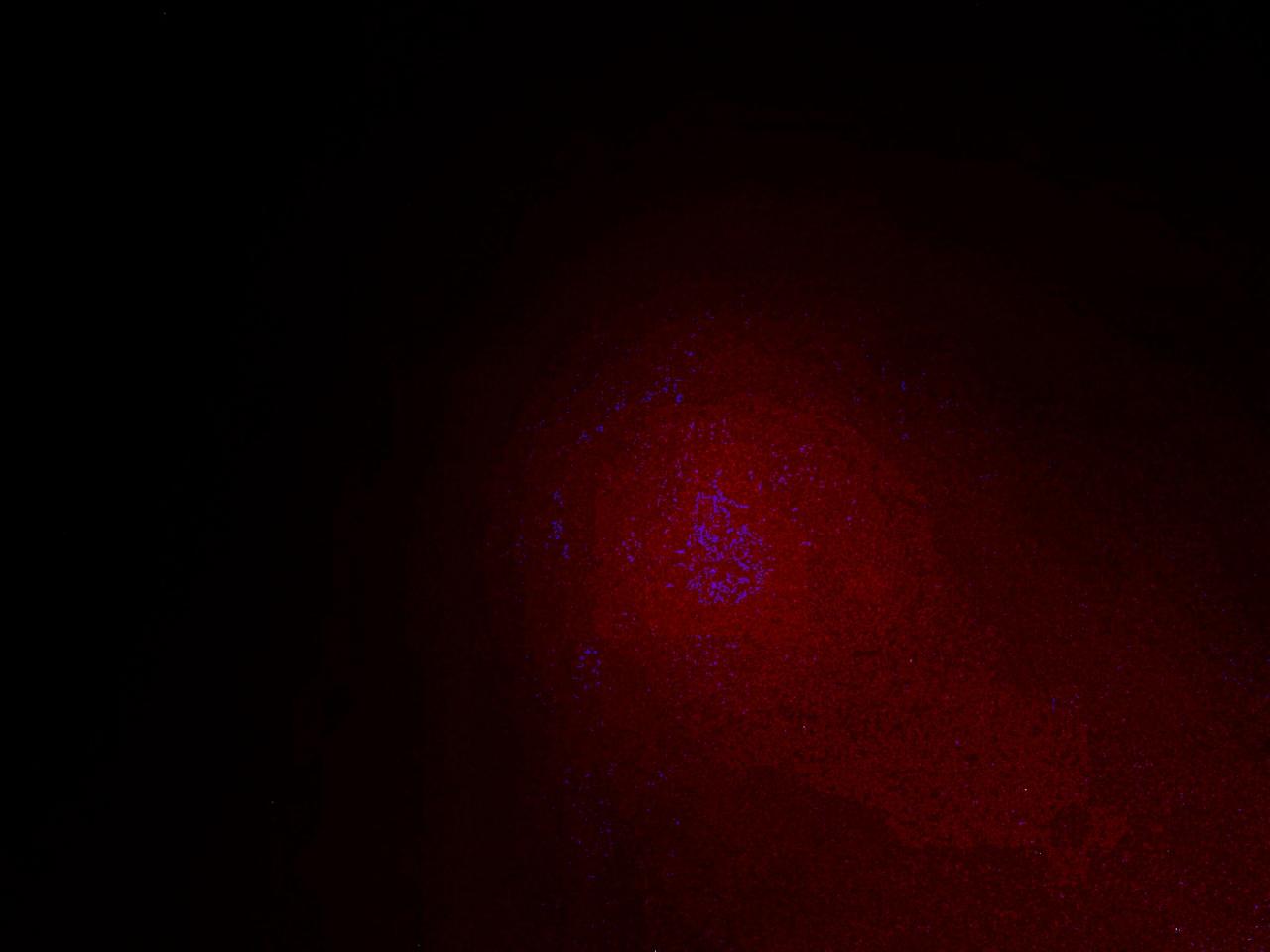 Dodge Journey Se Image 14