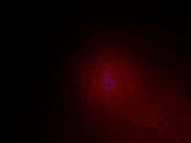 Dodge Journey Se Image 14