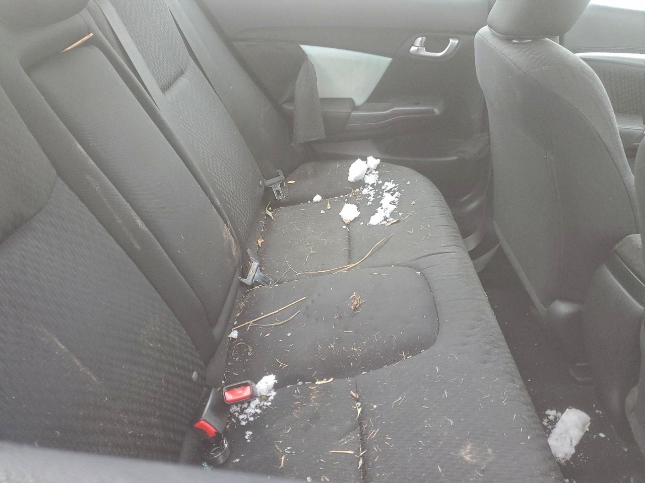 Honda Civic Ex Image 11