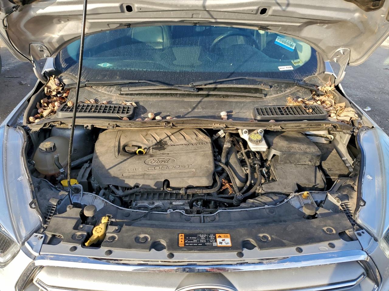 Ford Escape Sel Image 11