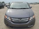 Honda Odyssey Exl Image 3