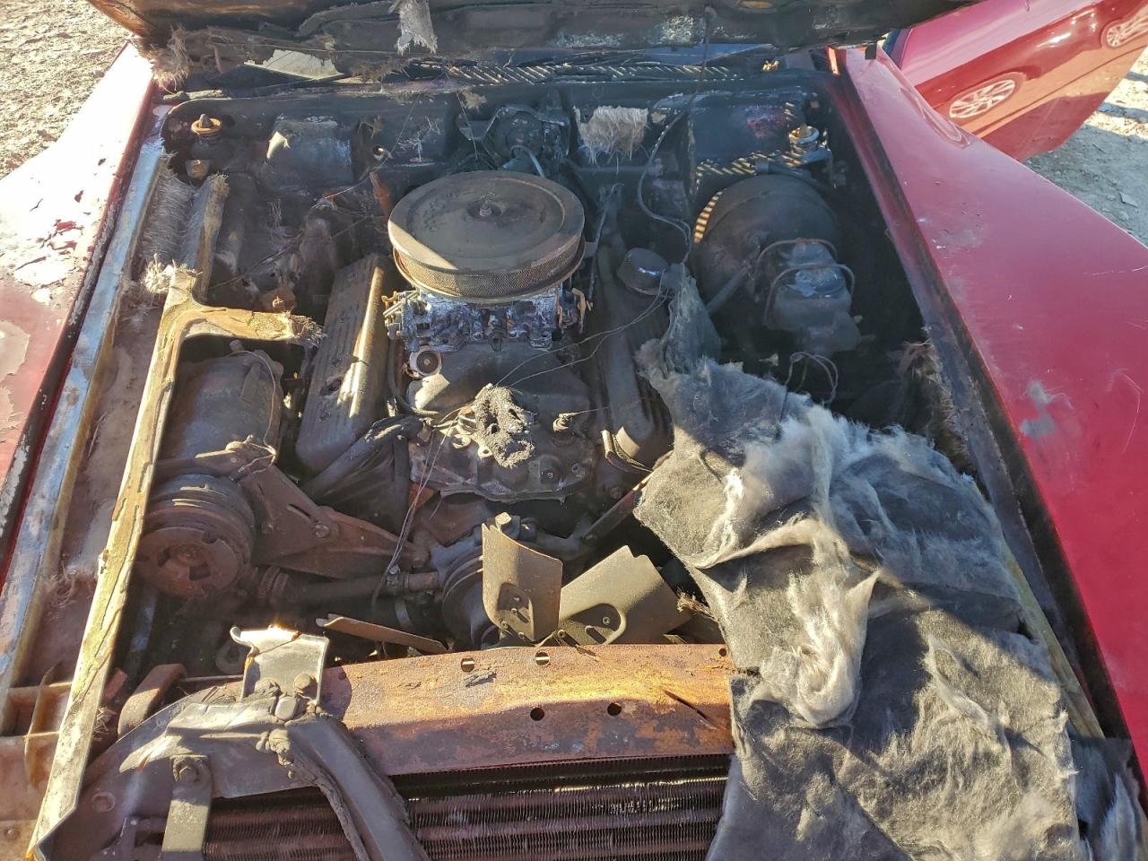 Chevrolet Corvette Image 12