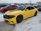 Dodge Charger R/t 392 Image 1