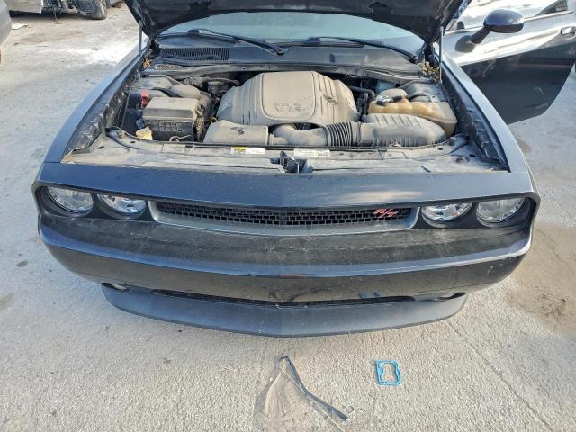 Dodge Challenger R/t Image 5