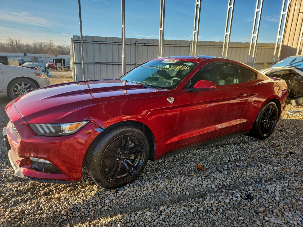 Ford Mustang Image 1