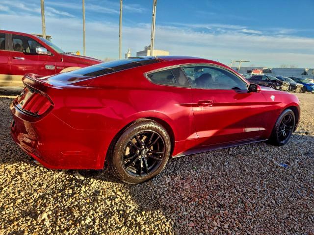 Ford Mustang Image 3