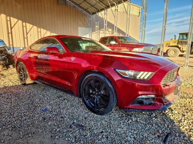 Ford Mustang Image 2