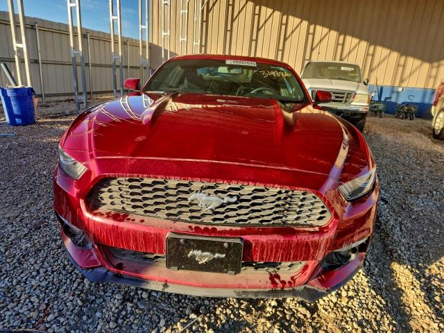 Ford Mustang Image 4