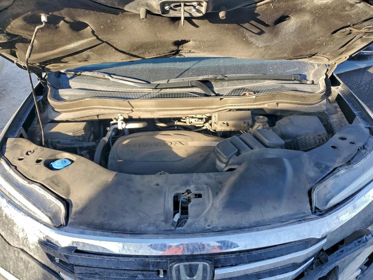 Honda Pilot Elite Image 9