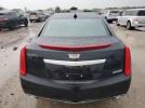 Cadillac XTS Luxury Collection Image 6