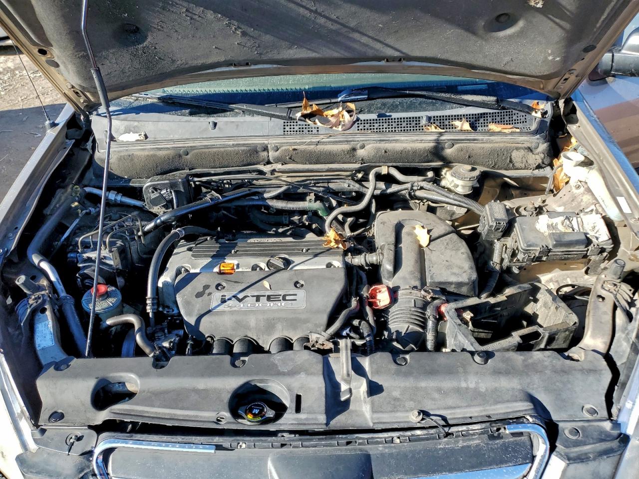 Honda Crv Lx Image 9