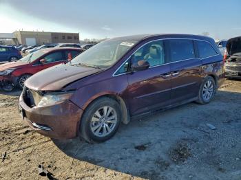  Salvage Honda Odyssey