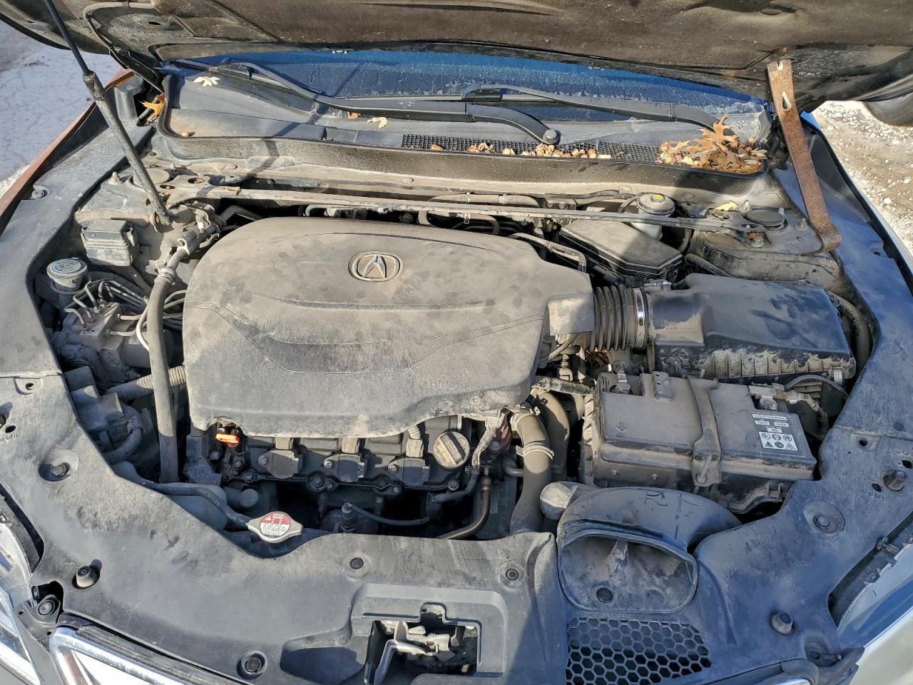 Acura TLX Tech Image 11